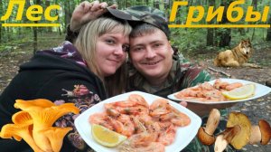 Вот Так надо Ходить За ГРИБАМИ В ЛЕС