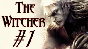 The Witcher. Первое прохождение. #1