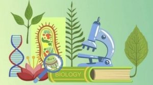 Биология 9 класс. Биосфера. Среды жизни.--