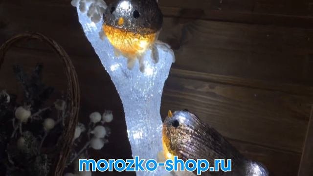 Светящаяся фигура МАЛИНОВКИ НА ВЕТКЕ, цветной акрил, 30 холодных белых LED, уличная 491158