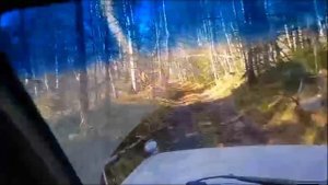 Мужчины поехали в тайгу за шишкой. #тайга #сборкедровыхшишек #путешествие #хакасия #горы