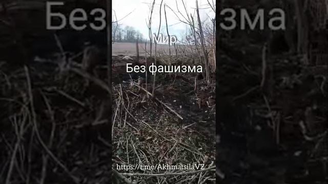 Работайте Братья
Мир Без Фашизма 
Якудза на связи