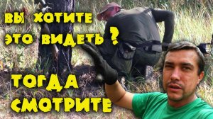 В лесу есть не только хабар