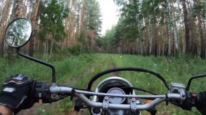 На Suzuki Djebel 200 вдвоём. Часть 2.  Полевое бездорожье. 06.07.2021 г.