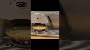 Кофемашина SPIDEM Divina automatica digital, демонстрация работоспособности