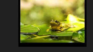 Тургенев И.С. "Отцы и дети": ПЕРЕЧИТЫВАЯ РУССКУЮ КЛАССИКУ. Анализ произведения