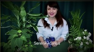 КАКОЙ МУЖЧИНА НА ПОРОГЕ❤🔥таро расклад на ближайшее будущее⚡гадание онлайн