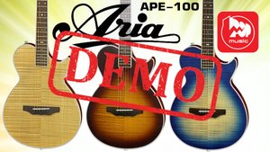 Электроакустика ARIA APE-100