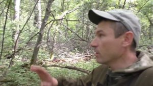 МАЛЫШ ЛОСЯ ПОГНАЛ И ПРОПАЛ! Проверил фото ловушку! И НАШЁЛ ГРИБЫ!