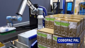 Комплексное решение Interpack - Robopac machinery