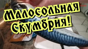 Малосольная скумбрия! Как Засолить скумбрию дома. Солим скумбрию!