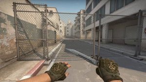 CS:GO HYDRA GLOVES MANGROVE FIELD-TESTED | SKIN SHOWCASE