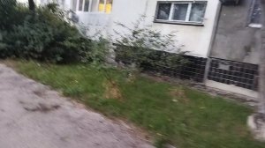 что попало