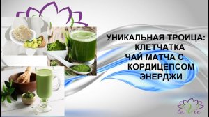 Уникальная ТРОИЦА- Клетчатка, Чай Матча с кордицепсом и Энерджи!