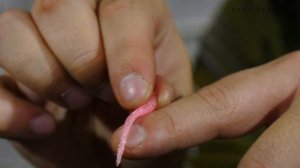 ПРИМАНКИ ДЛЯ МИКРОДЖИГА DUO Tetra Works Burry. Обзор Карплидер