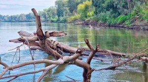 Под этой корягой нарвались на крупную рыбу! Таймень, десятка, сазан или судак? Это супер рыбалка!