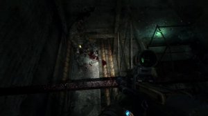 ГРОЗНЫЕ БИБЛИОТЕКАРИ И ПУТЬ В Д6 | ПРОХОЖДЕНИЕ МЕТРО 2033 REDUX №14