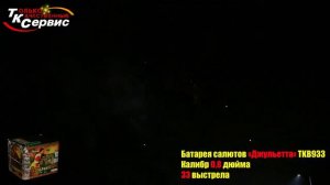 Салют, фейерверк TKB933 Джульетта 33 залпов  х 0,8 калибр