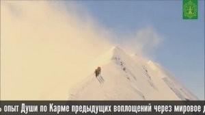О канале Знаки. Зелёная Тара