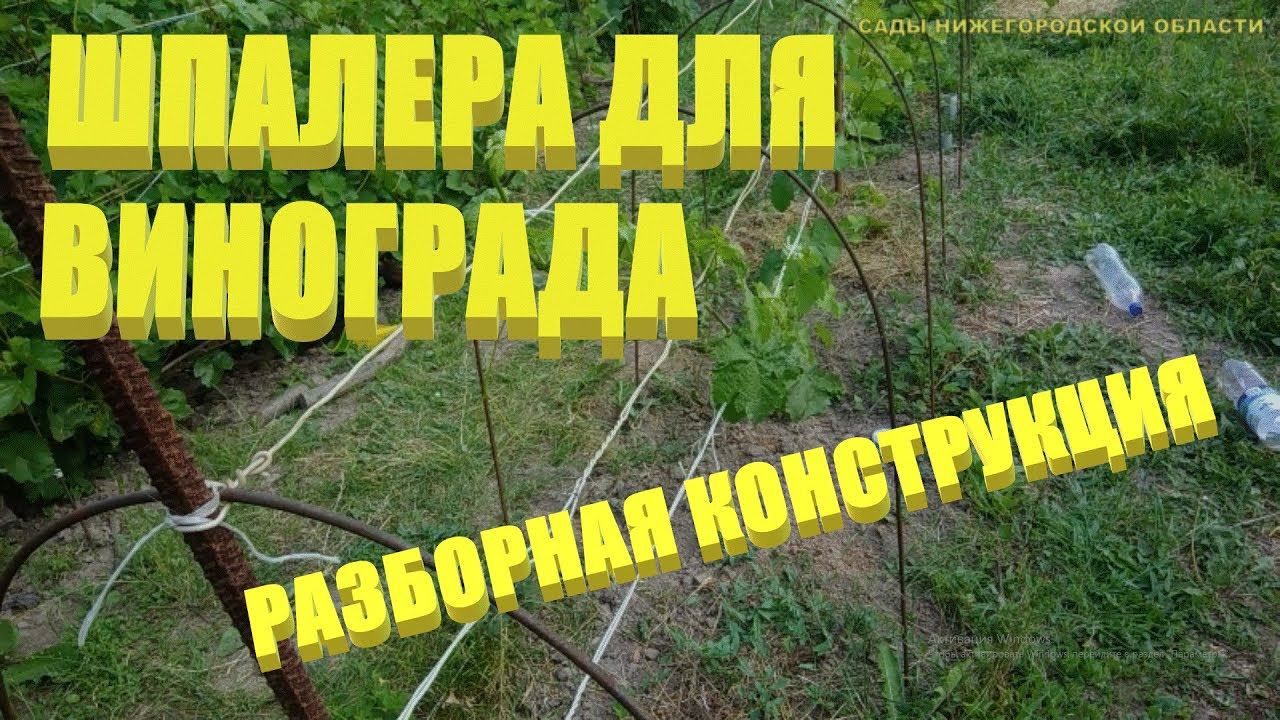 Шпалера для винограда своими руками.Шпалера из арматуры.