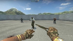 CS:GO Combo Convoy Gloves & ★ StatTrak™ Skeleton Knife | Forest DDPAT