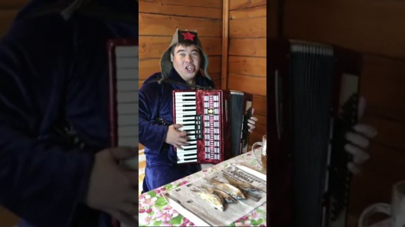 ЧАСТУШКА ПРО БАНЮ,ВСЕМ ЛЁГКОГО ПАРА!!! #akboys #павелегоров #вездесаккордеоном