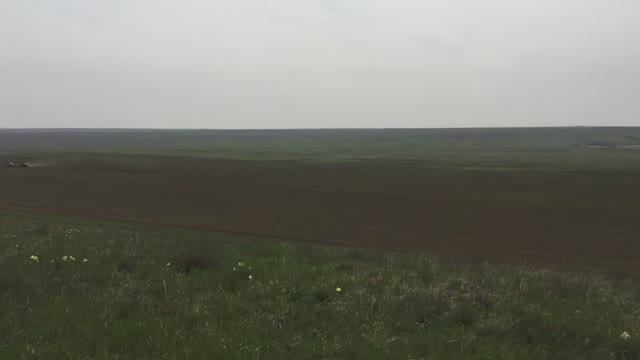 Сев гибридных семян подсолнечника (Case 535, Flex)