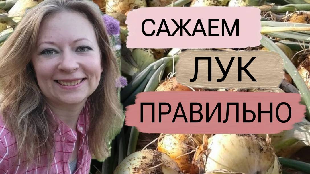 Сажайте лук правильно!