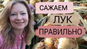 Сажайте лук правильно!