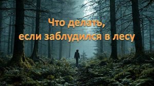 Что делать, если заблудился в лесу