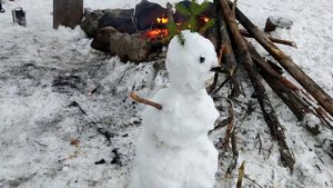 Снеговики