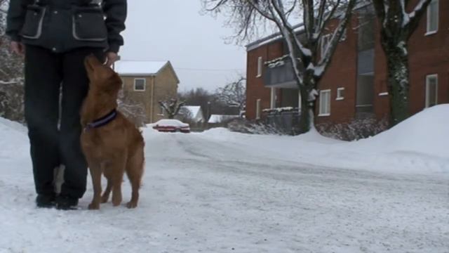 Ester tränar fritt följ 16 jan -13 смотреть онлайн