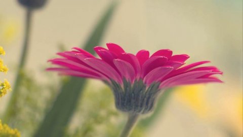 Звуки природы слушать без рекламы Мелодия звуки природы