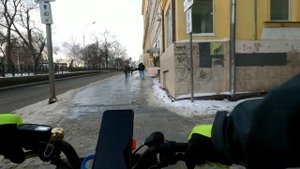 Русский зимний brompton