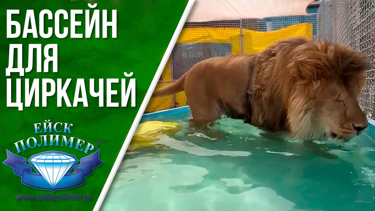 Бассейн для циркачей