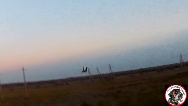 Охота на фазана в Крыму 2020 г декабрь Охота была интересная.
