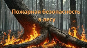 Начальник пресс-службы Главного управления Ксения Колотилова о пожарной безопасности в лесах