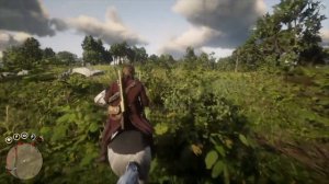 Red Dead Redemption 2 -  RAREST HORSE AMERICAN PAINT SPLASHED WHITE (EASIEST METHOD) I RDR2