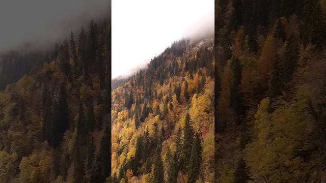 В ожидании осени ❤️ смотреть онлайн