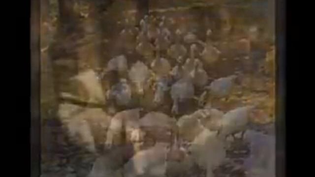 Henry Herbert La Thangue смотреть онлайн