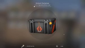 I Opened 100 Bravo Cases in CS:GO