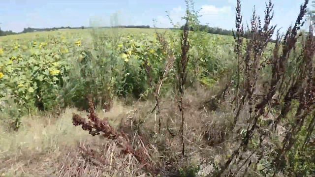 ПИСТОЛЕТ МЕНЯ ПОДВЕЛ!!! СТРАЙКБОЛ  AIRSOFT ACTION