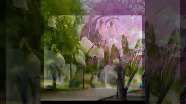 Әблахат Еспаевтың әні "Туған ел" Орындайтын Алтын Иманбаева смотреть онлайн