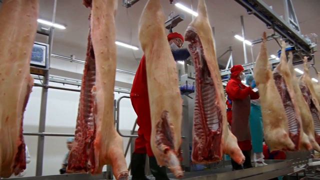 В Тверской области растет производство мяса, субпродуктов и мясной продукции