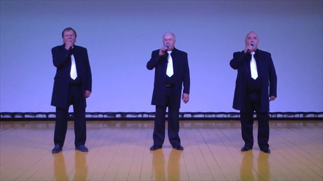 Народный вокальный ансамбль "Добры молодцы". "Ой, да по росе" Рук-ль А.П. Членов. г. Абдулино смотреть онлайн