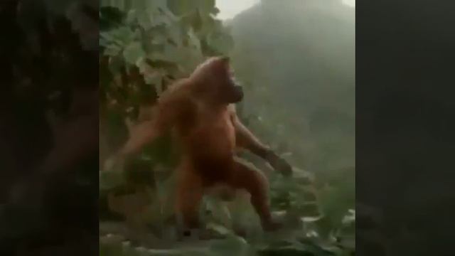 Who's Next - Kurt Otto / Richard Autry смотреть онлайн