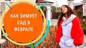 КАК ЗИМУЕТ САД? | Прогулка по саду в феврале