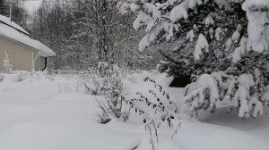 Зимняя сказка