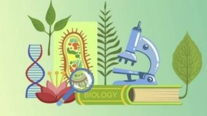 Биология 7 класс. Многощетинковые черви.--