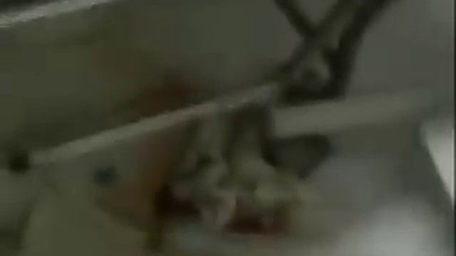 Tunisie Ben ALi Martyrs 9/1/2011 شهداء تونس بن علي смотреть онлайн